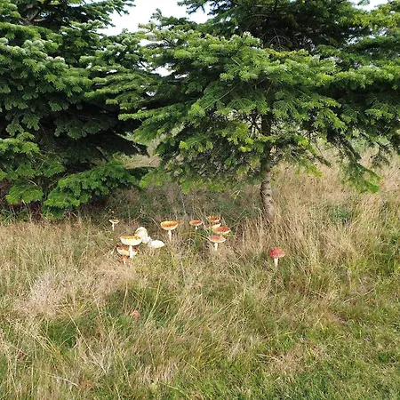 8 Person In Vaeggerlose Σπίτι διακοπών Bøtø By