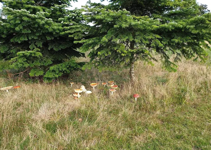 8 Person In Vaeggerlose بيت للعطل Bøtø By